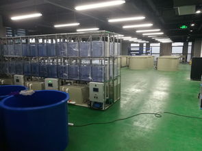 科創(chuàng)組團(tuán)，引領(lǐng)變革 工業(yè)化淡水水產(chǎn)養(yǎng)殖研發(fā)中心矚目而成